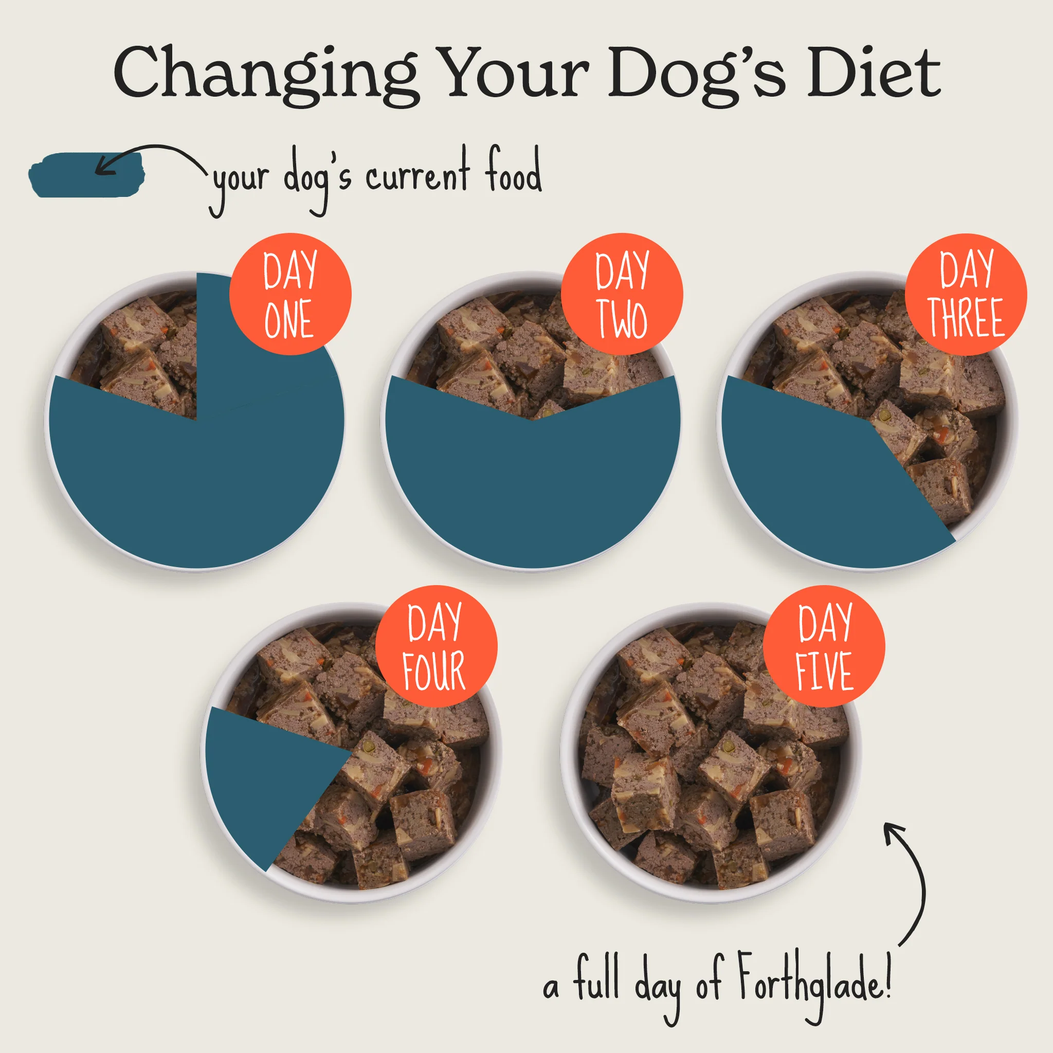 British Classics Wet Dog Food Variety Multipack - Image 7