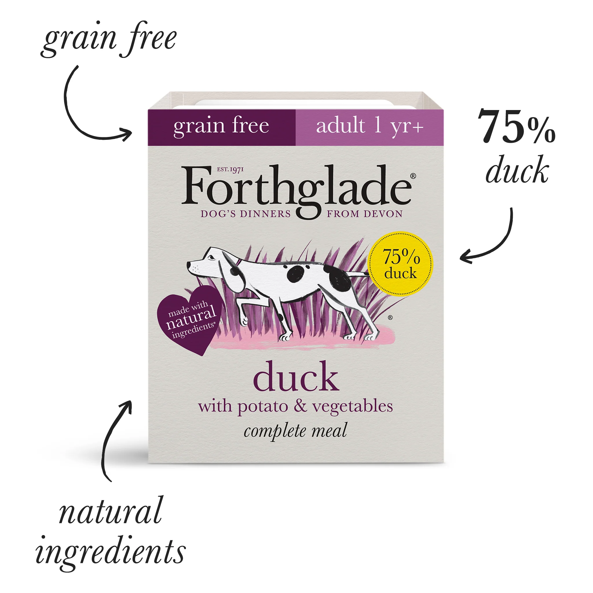 Chicken & Duck Wet Dog Food + Lightly Baked Chicken Bundle (1 x 6kg + 12 x 395g) - Image 5