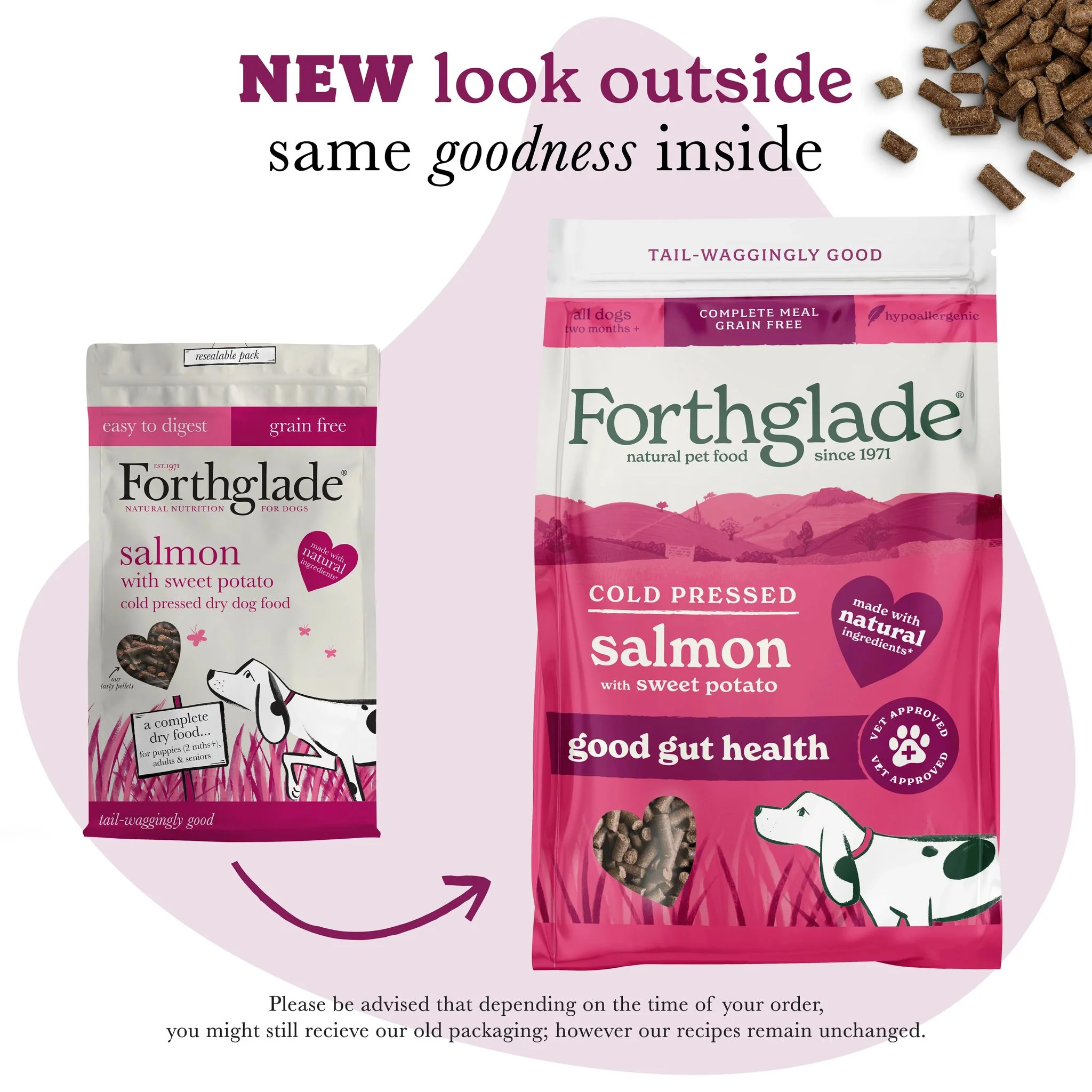 Everything Salmon Dog Food & Treat Variety Bundle - Image 3