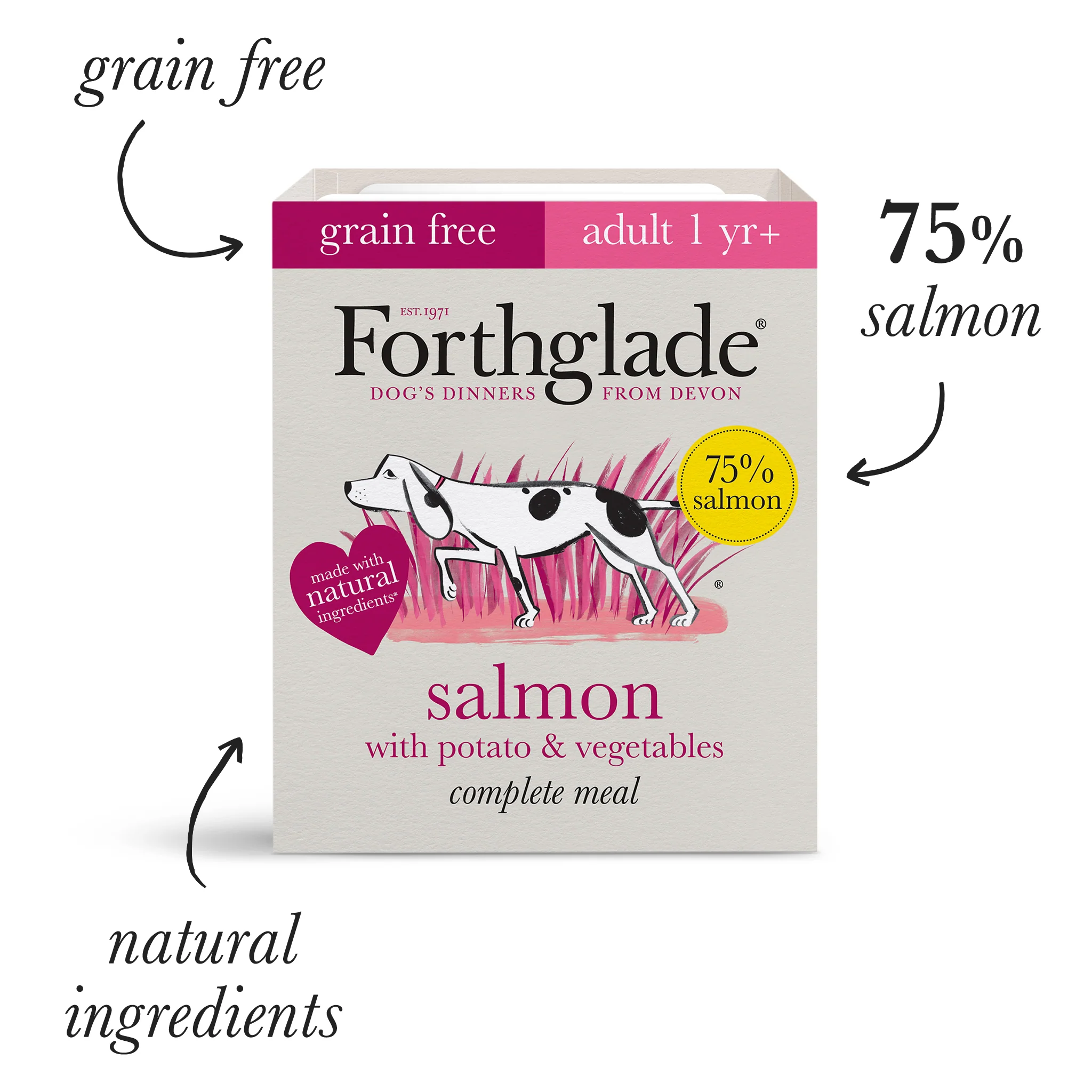 Everything Salmon Dog Food & Treat Variety Bundle - Image 4