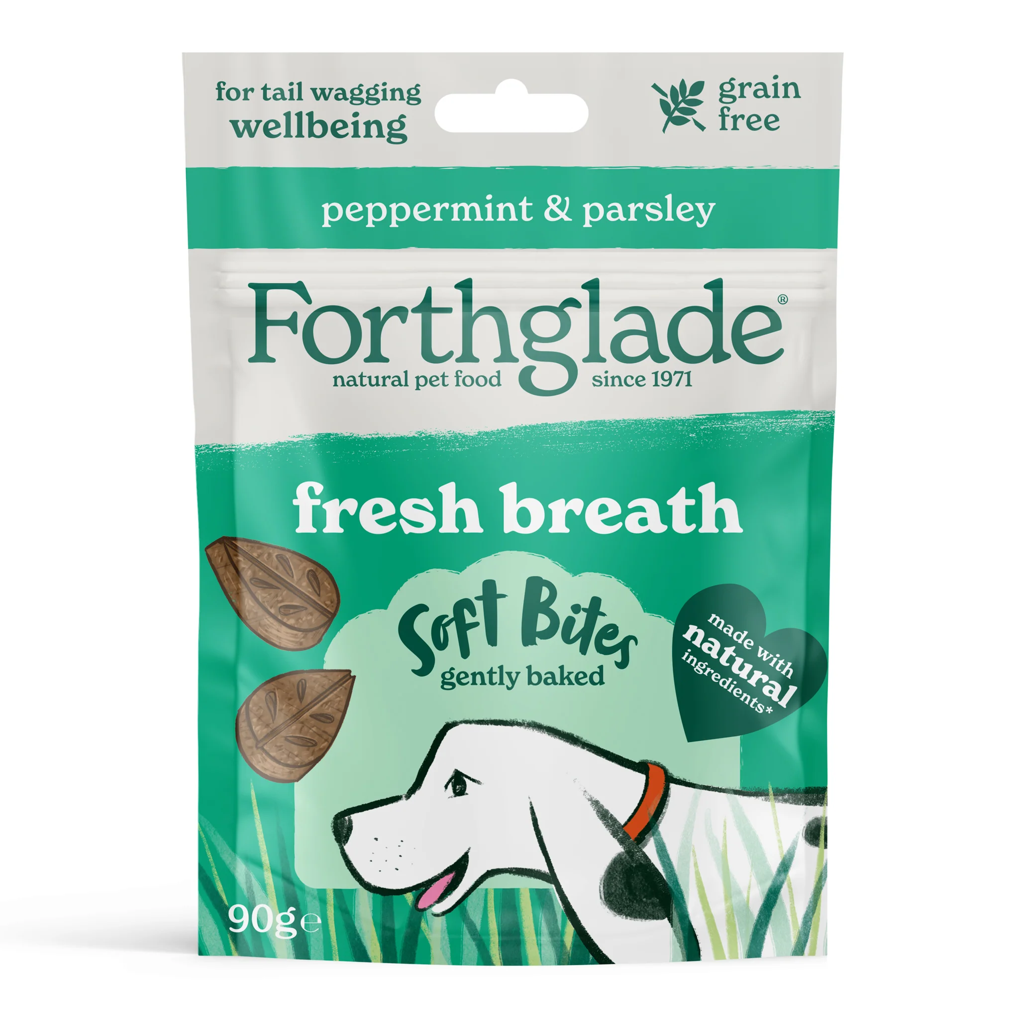 Forthglade Senior Taster Pack - Image 5