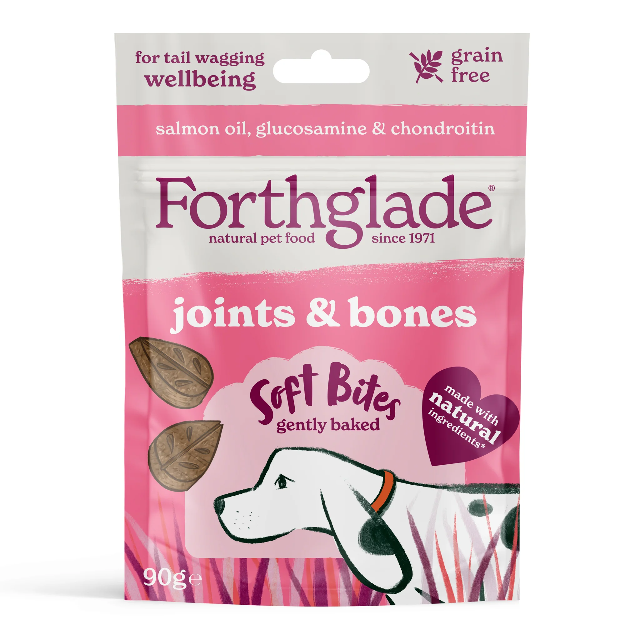 Forthglade Senior Taster Pack - Image 6