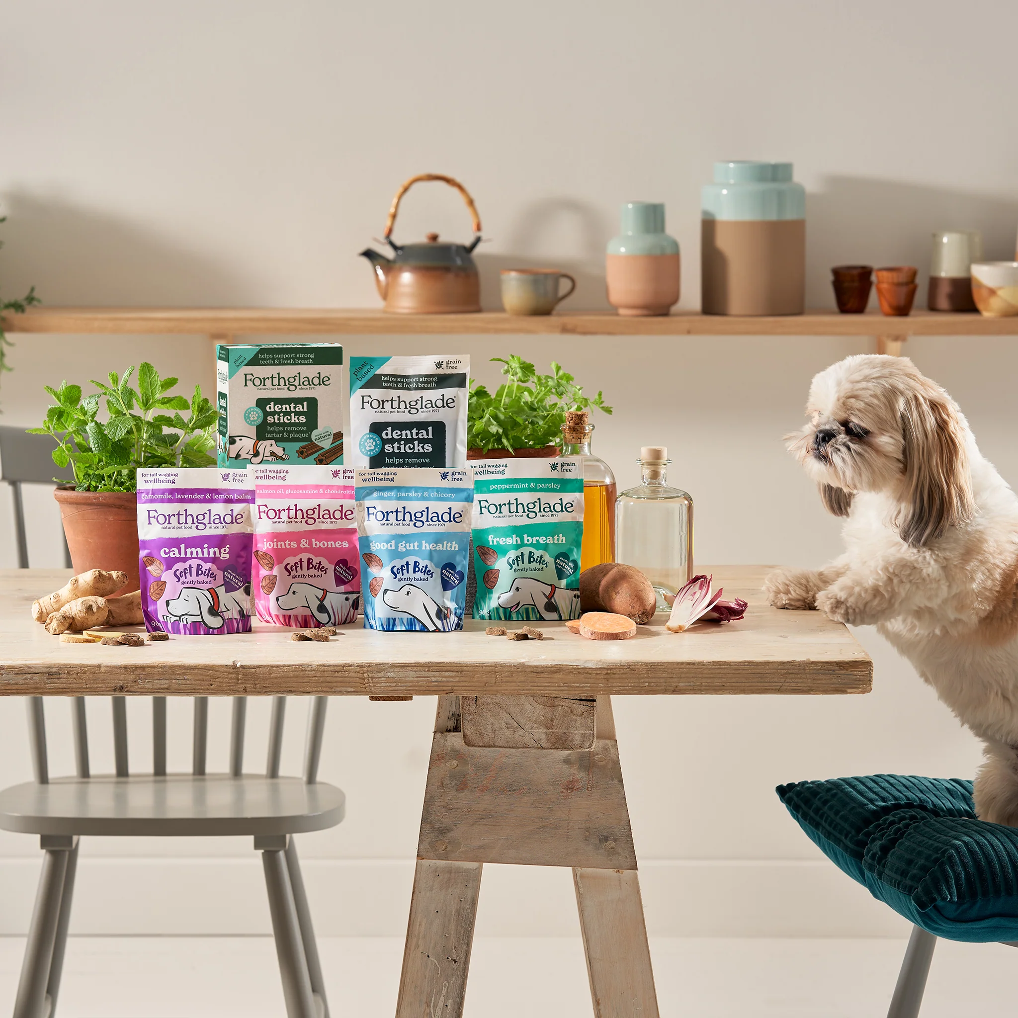 Fresh Breath Peppermint & Parsley Dog Treats - Image 13