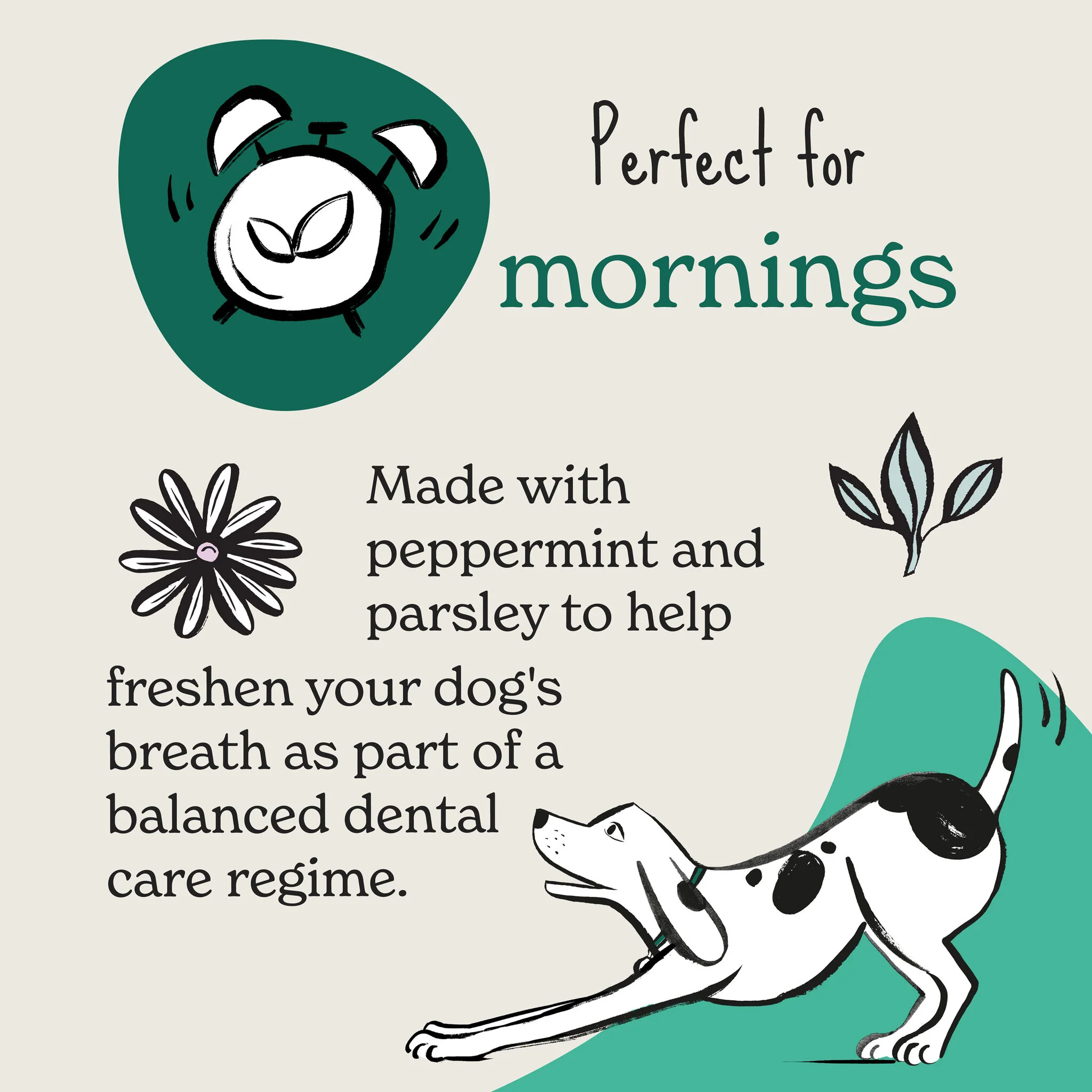 Fresh Breath Peppermint & Parsley Dog Treats - Image 6