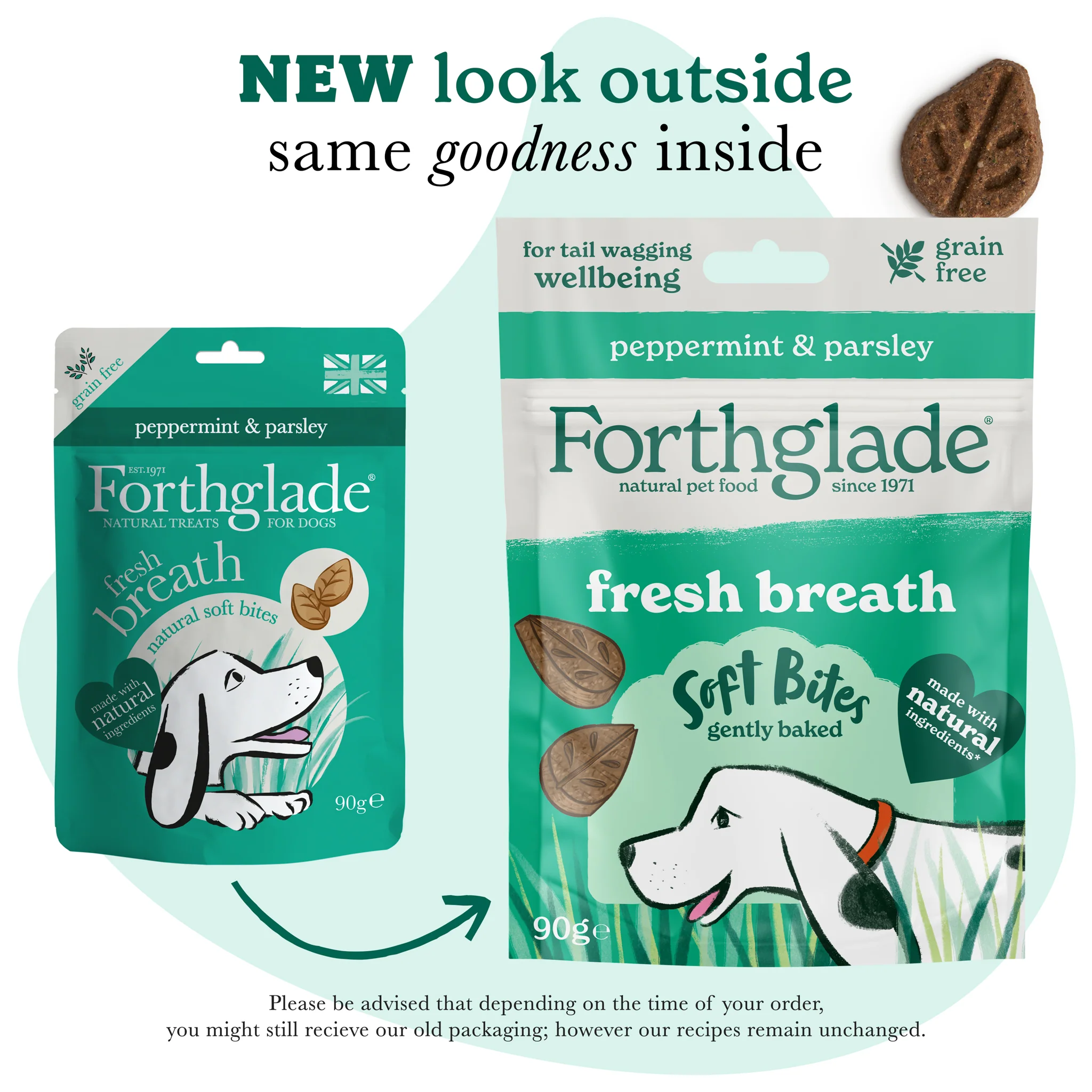 Fresh Breath Peppermint & Parsley Dog Treats - Image 7