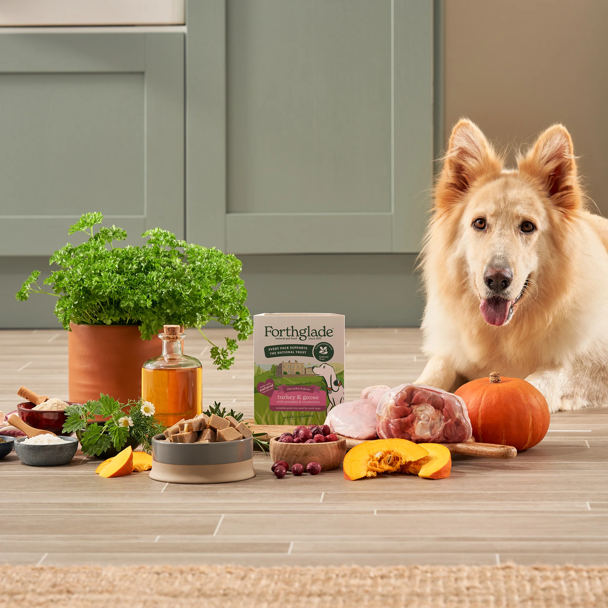 National Trust Gourmet Wet Dog Food Variety Pack - Image 8
