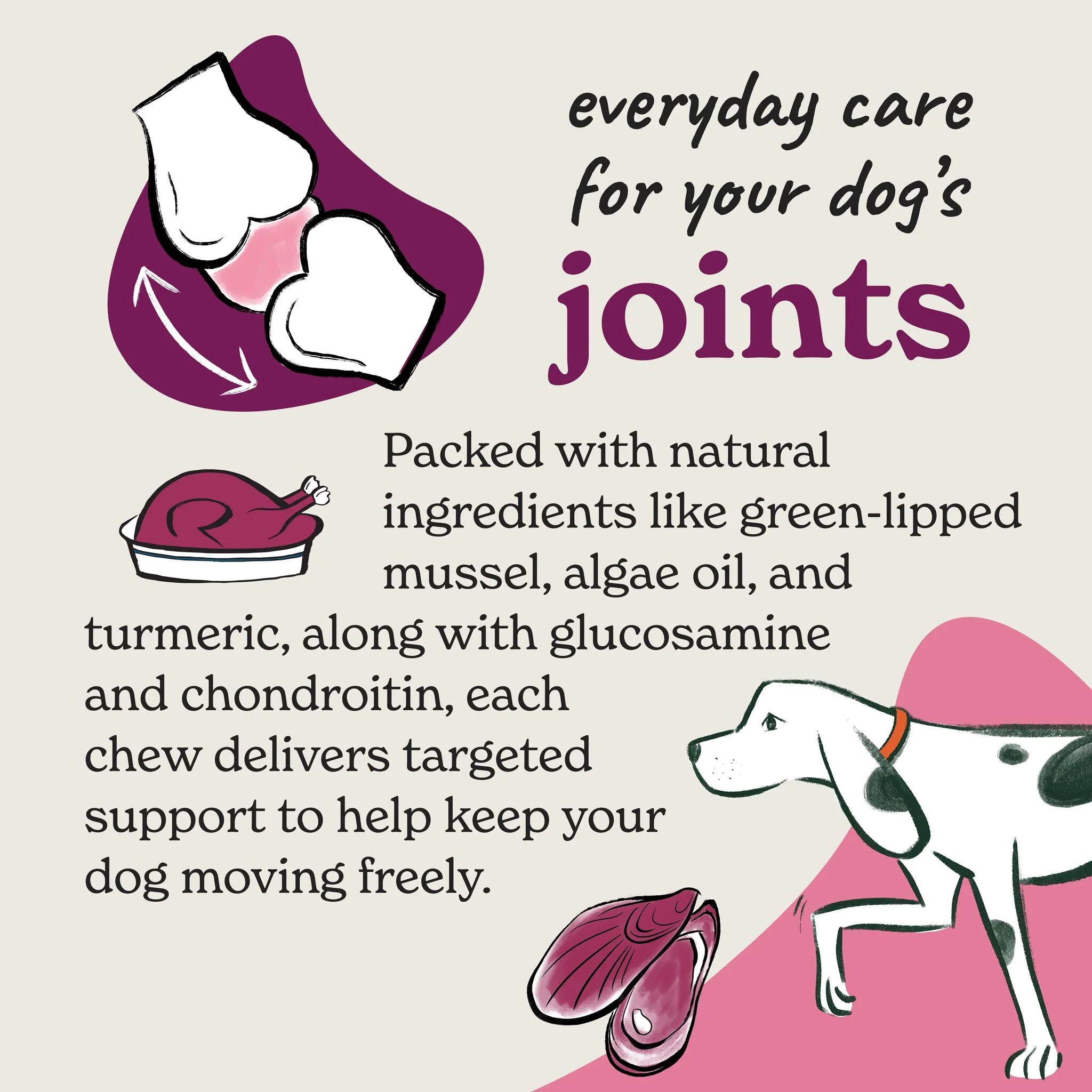 Joint Care Meaty Pieces - Dog Joint Supplement - Image 3