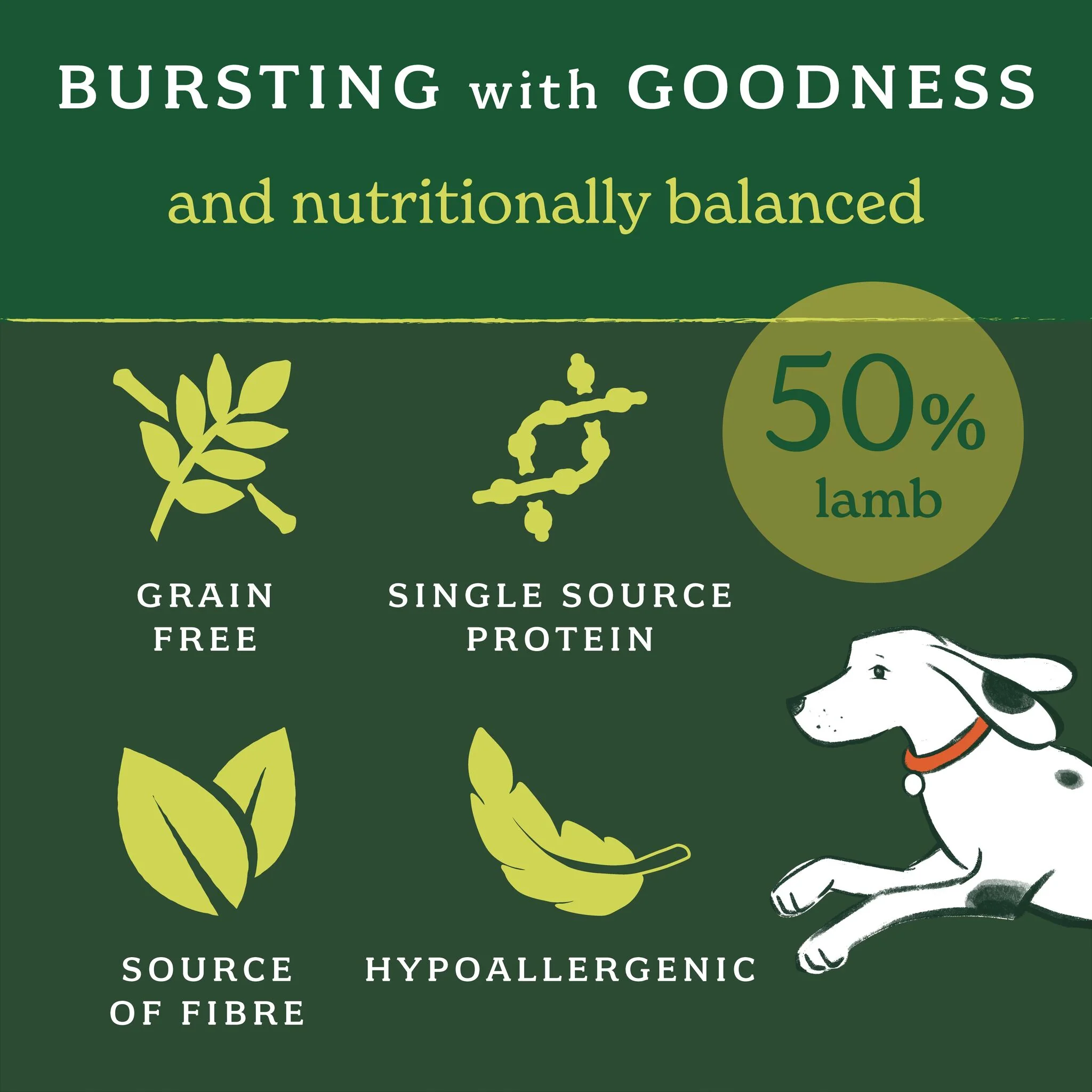 Lightly Baked Lamb Dry Dog Food - Image 4
