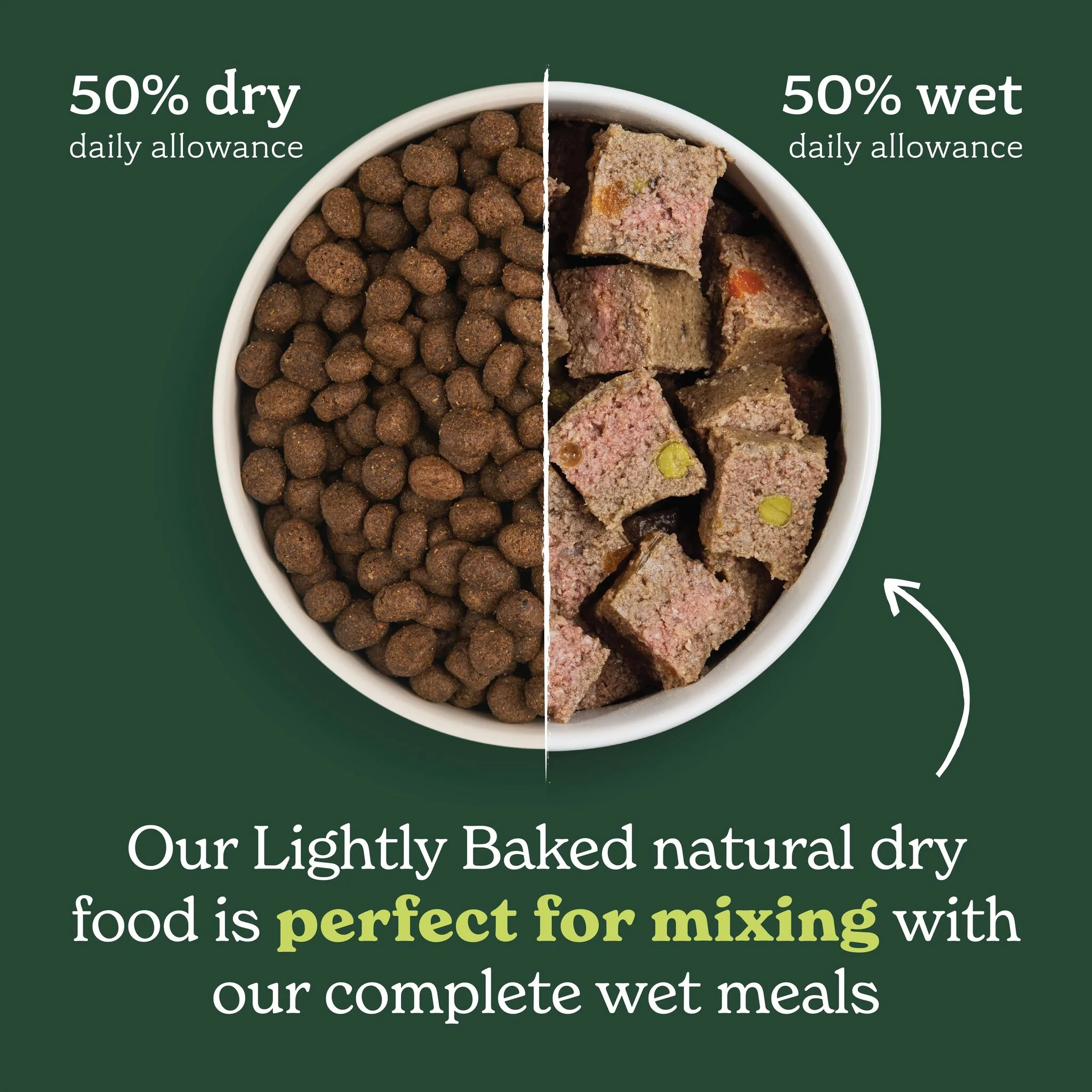 Lightly Baked Natural Dry Dog Food - Image 3