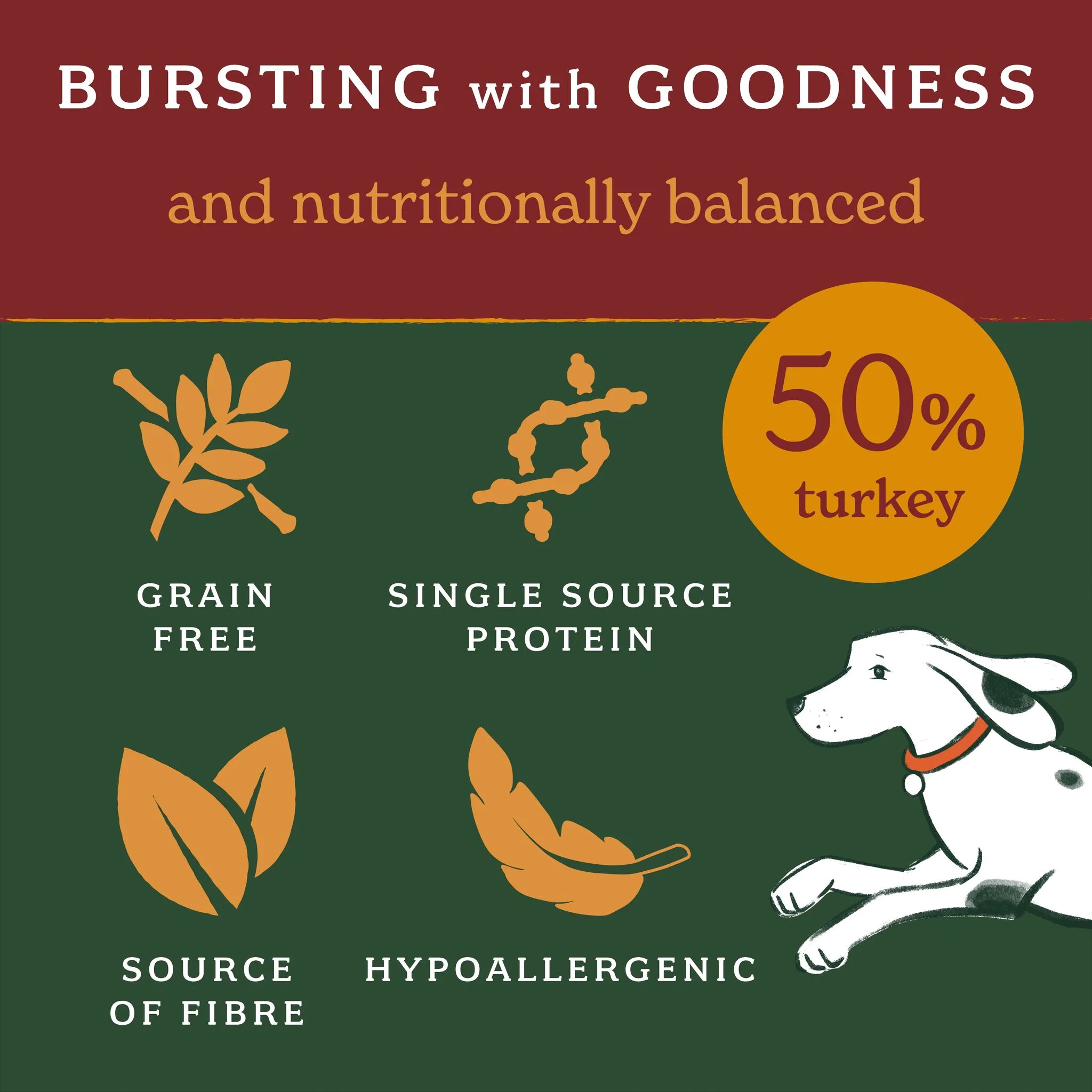 Grain Free Turkey Dog Food Mixed Bundle (1 x 6kg + 18 x 395g) - Image 4