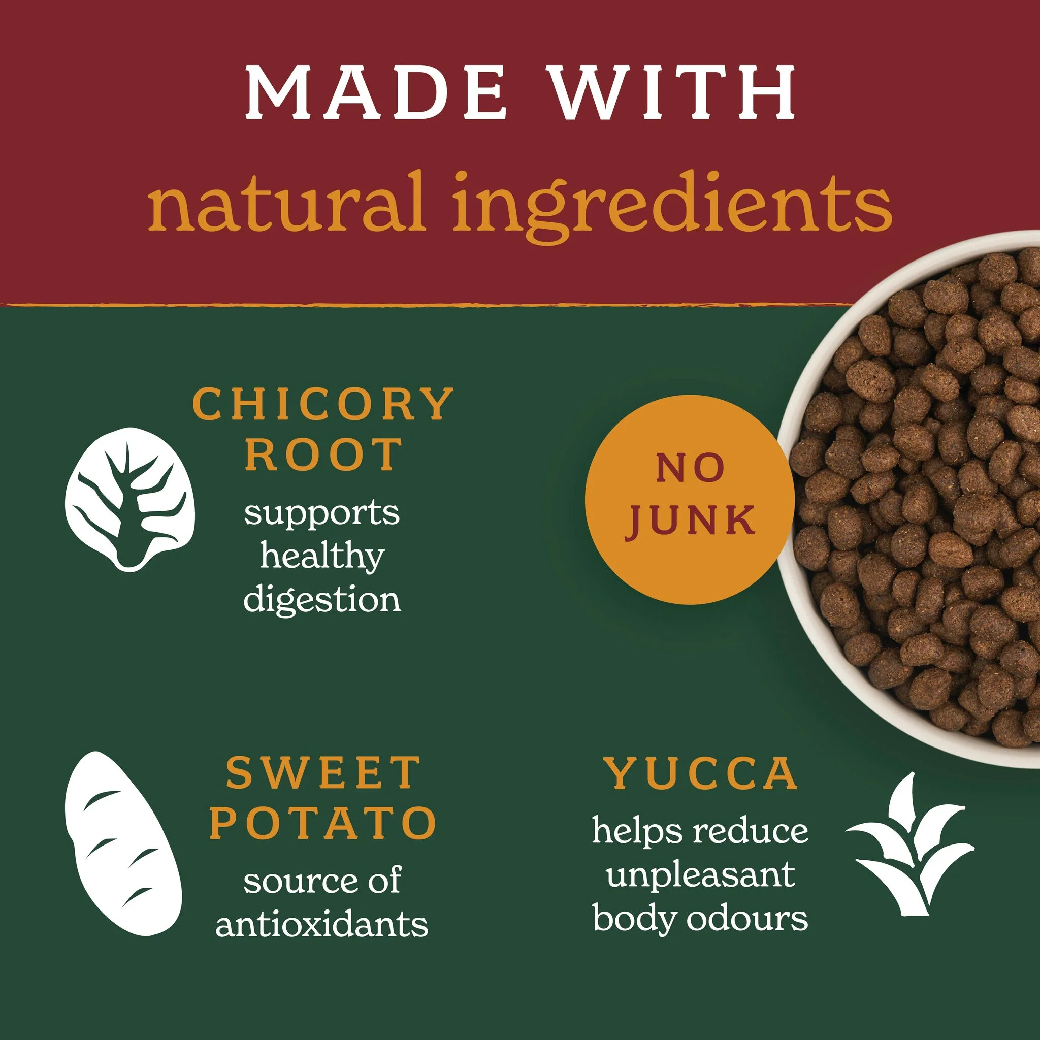 Lightly Baked Natural Dry Dog Food - Image 4