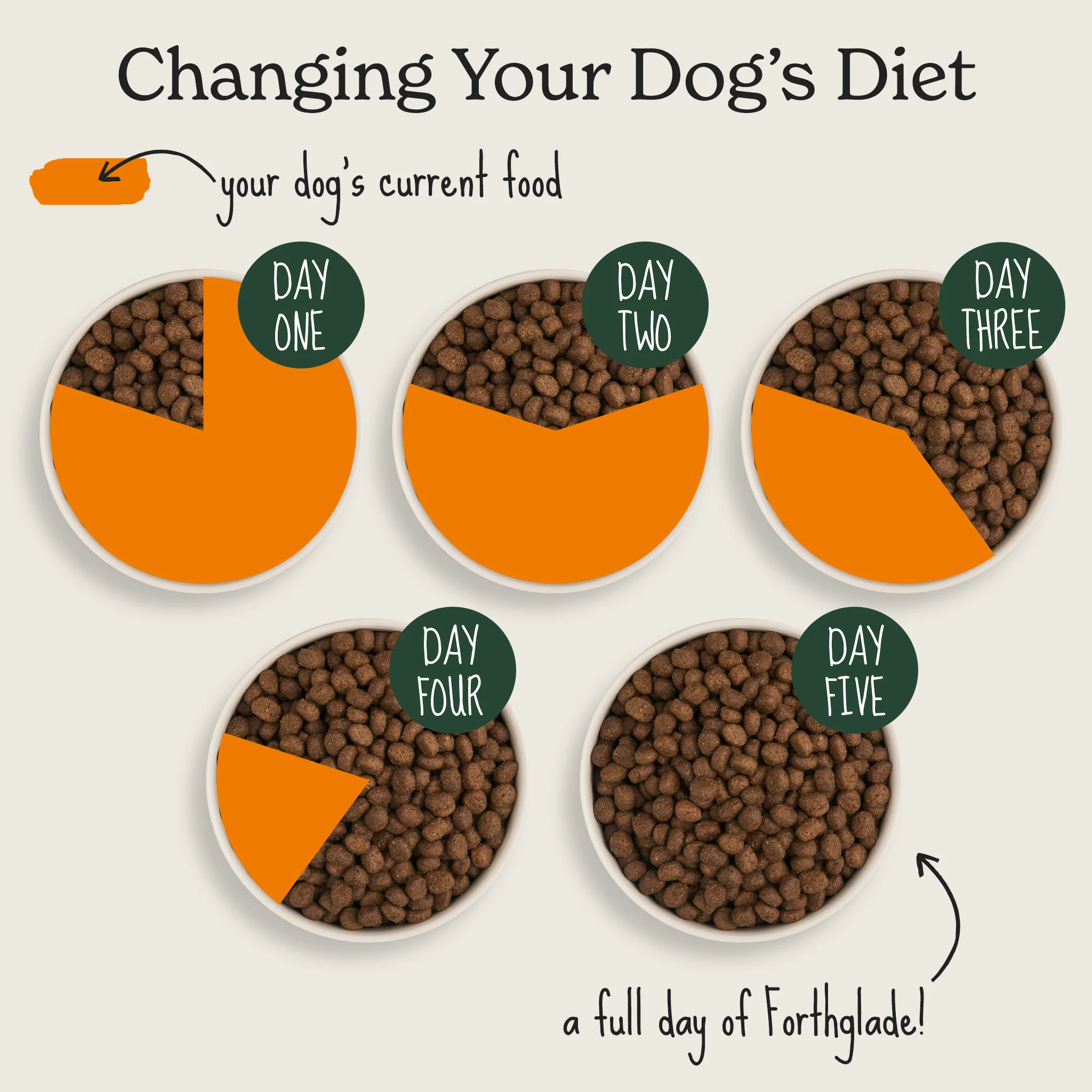 Lightly Baked Natural Dry Dog Food - Image 7
