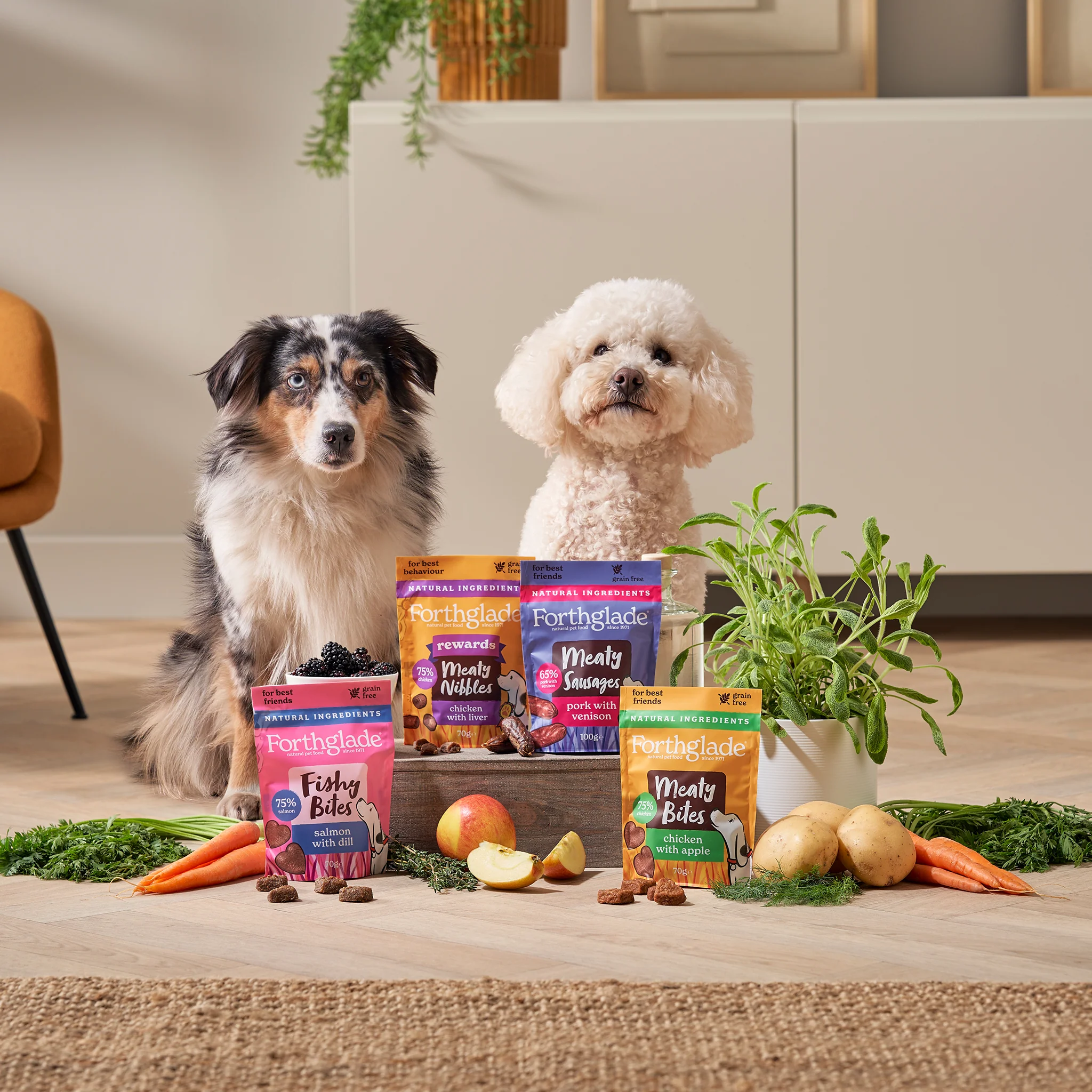 Meaty Bites Chicken & Apple Dog Treats (1 x 70g) - Image 11