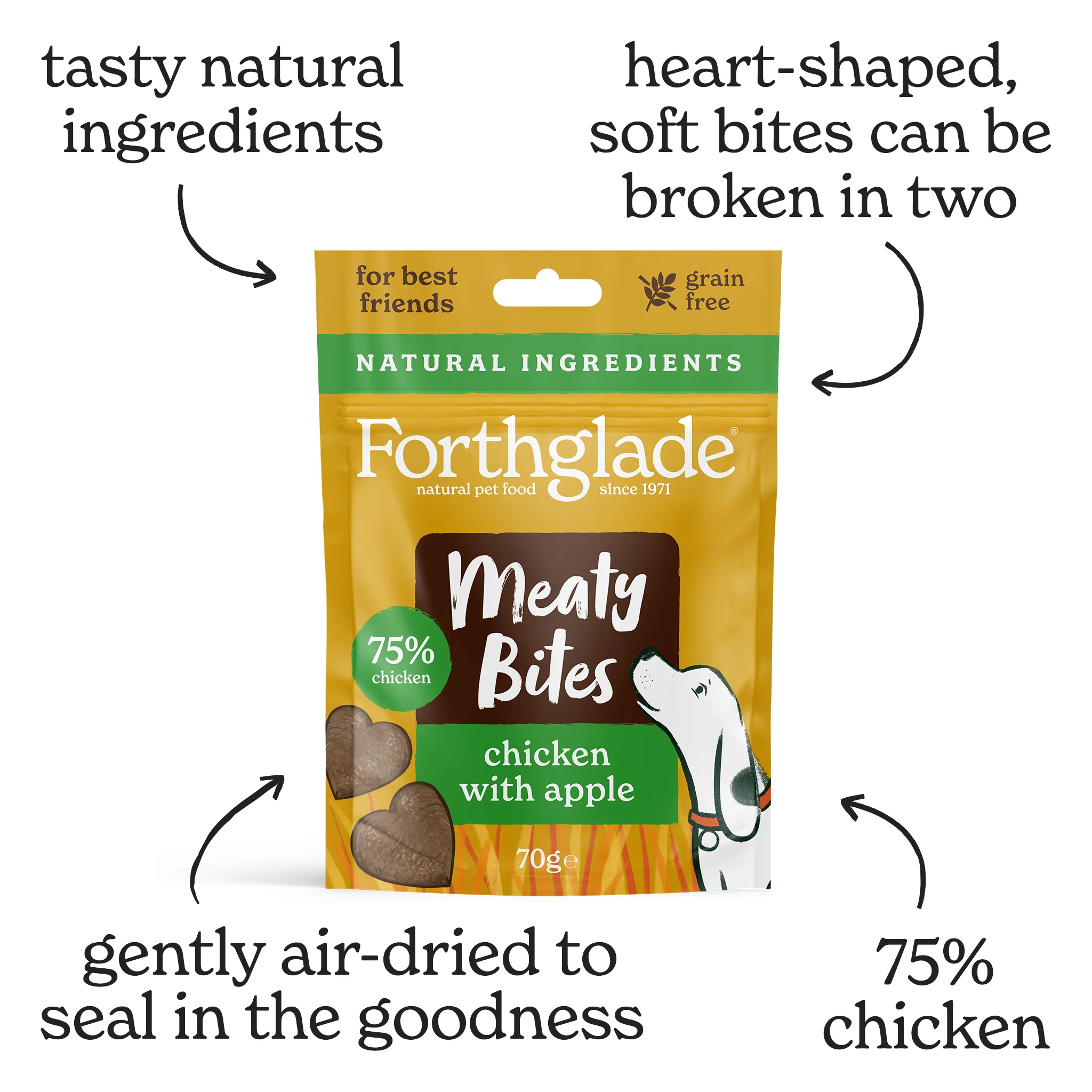 Meaty Bites Chicken & Apple Dog Treats (1 x 70g) - Image 3