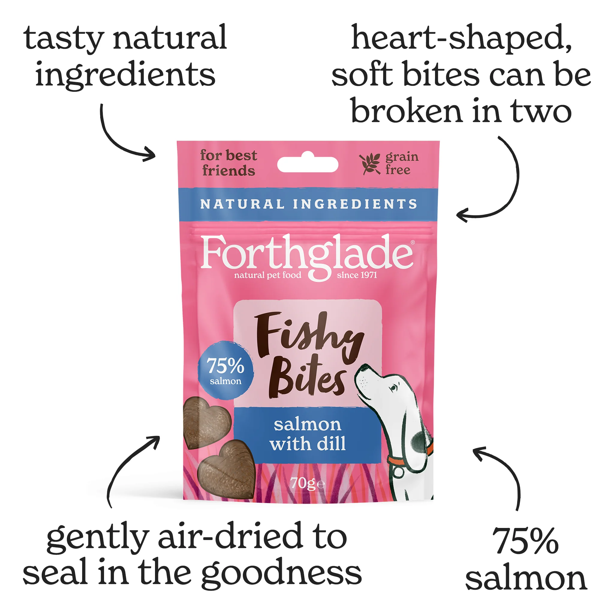 Fishy Bites Salmon & Dill Dog Treats (1 x 70g) - Image 3
