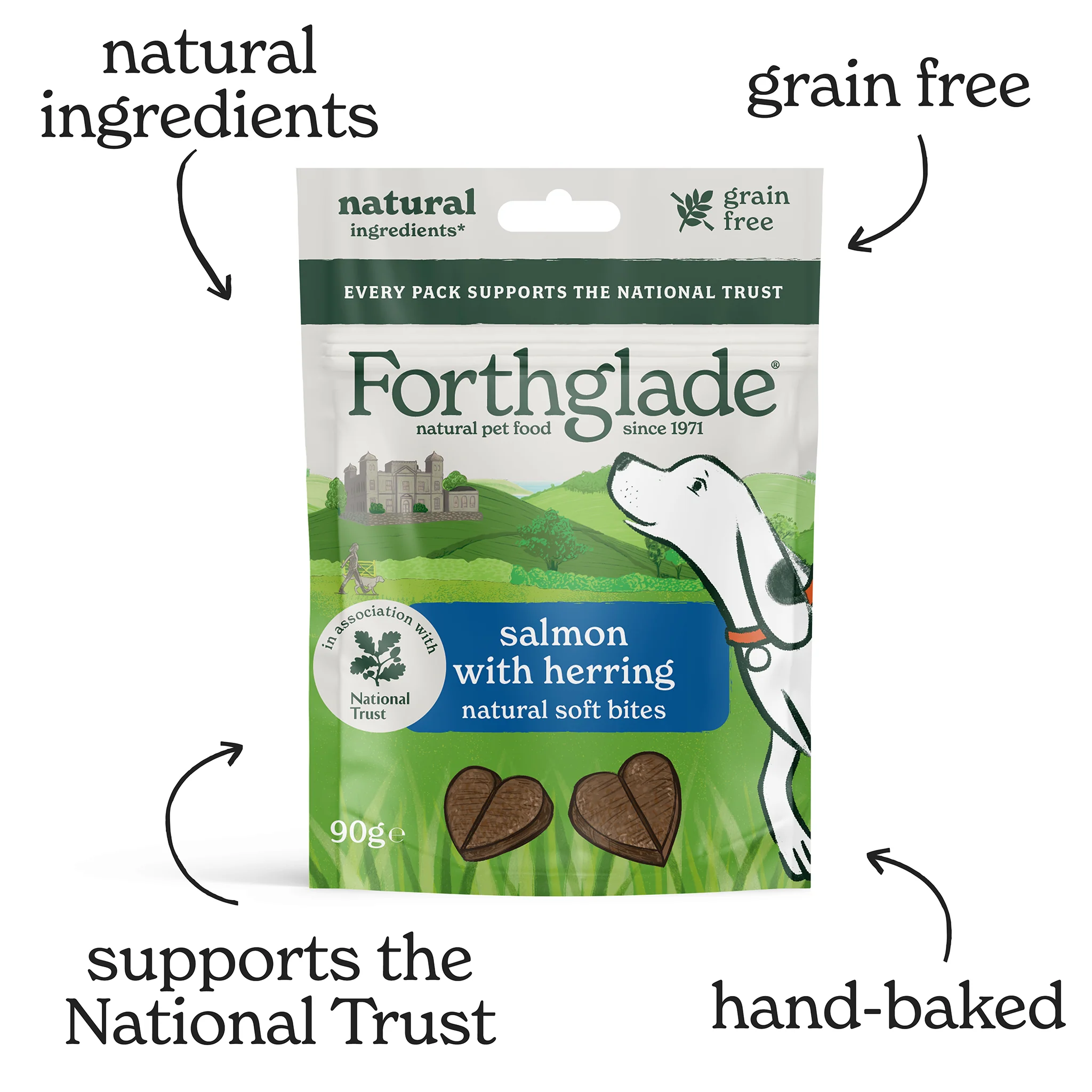 National Trust Salmon & Herring Dog Treats (1 x 90g) - Image 3