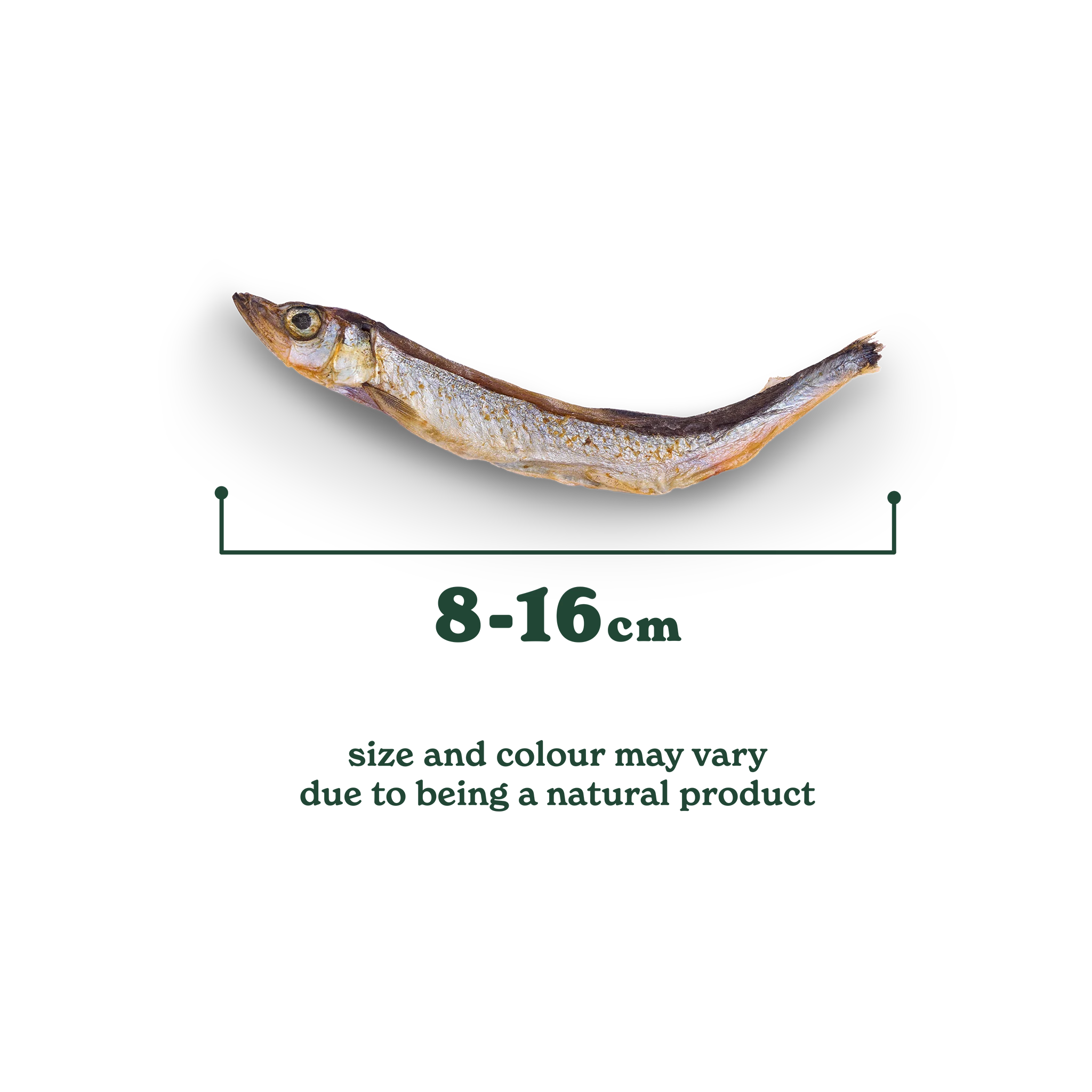 Natural Cuts Air Dried Capelin Treats - Fishy Dog Treats - Image 4