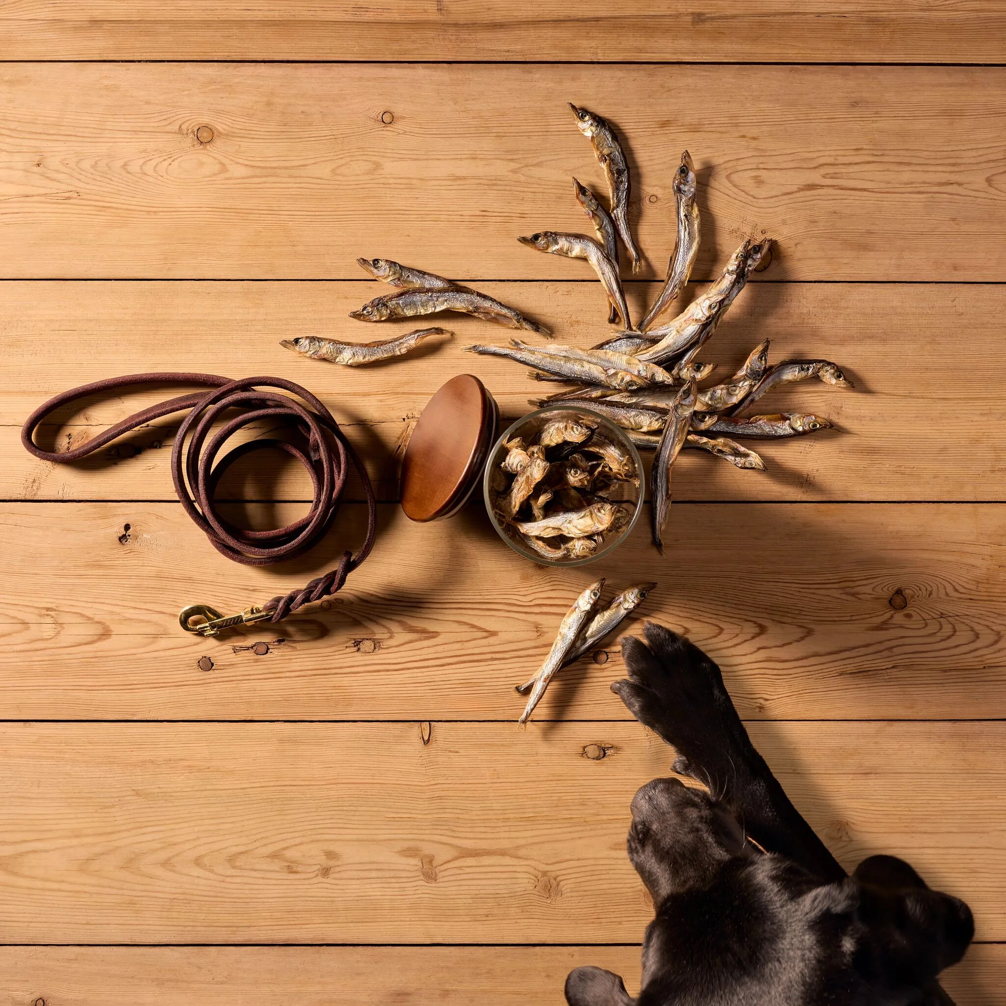 Natural Cuts Air Dried Capelin Treats - Fishy Dog Treats - Image 6