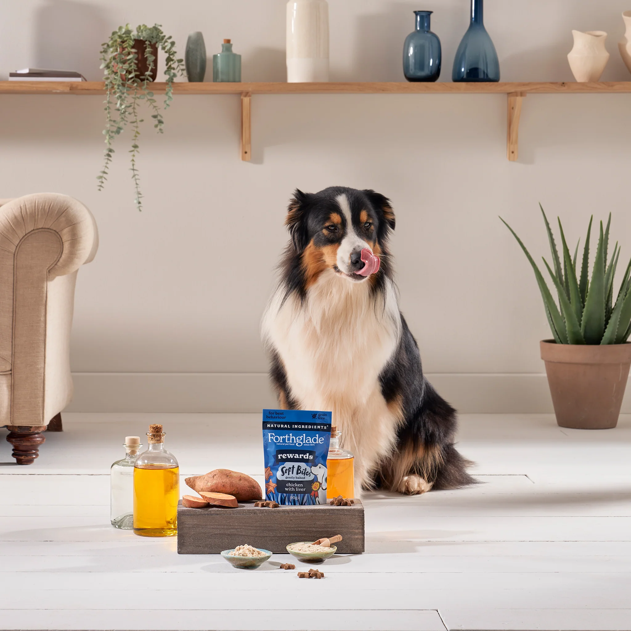 Rewards Chicken & Liver Dog Training Treats - Image 2