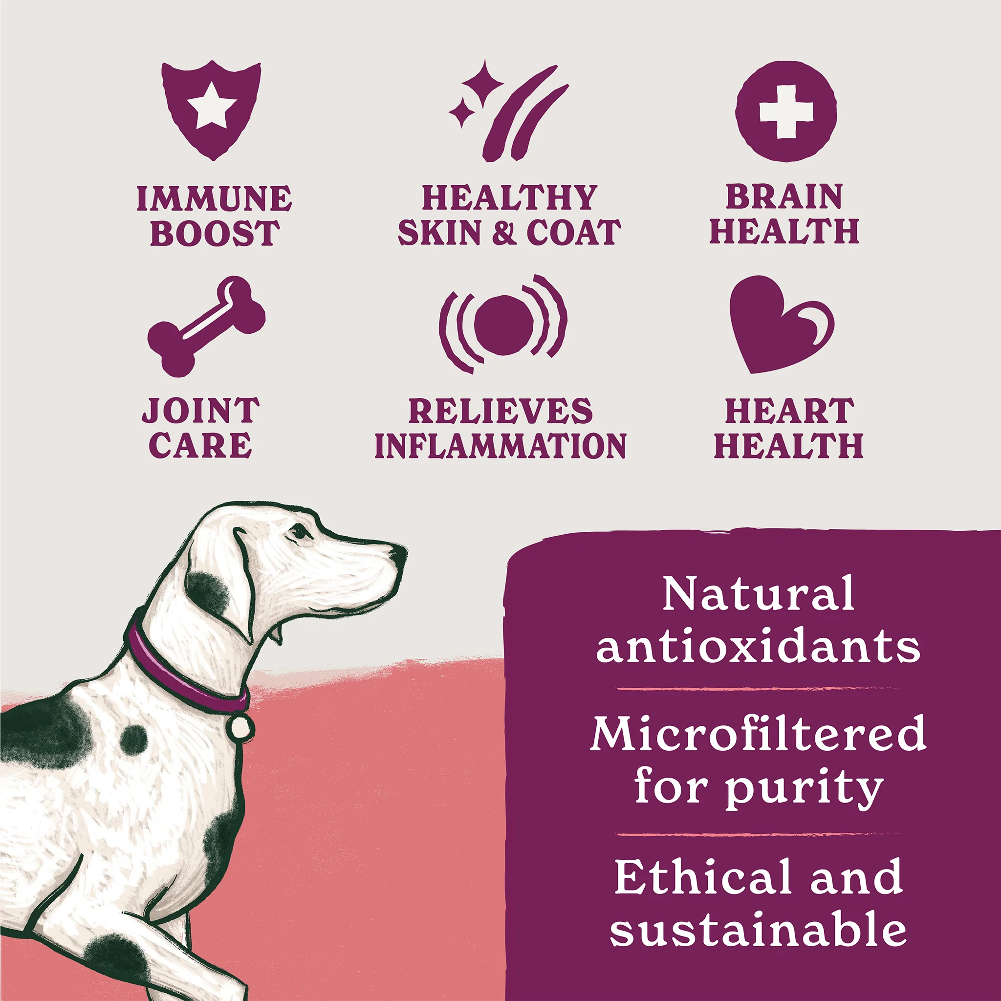 Salmon Wet Dog Food, Treats & Supplements Bundle - Image 5