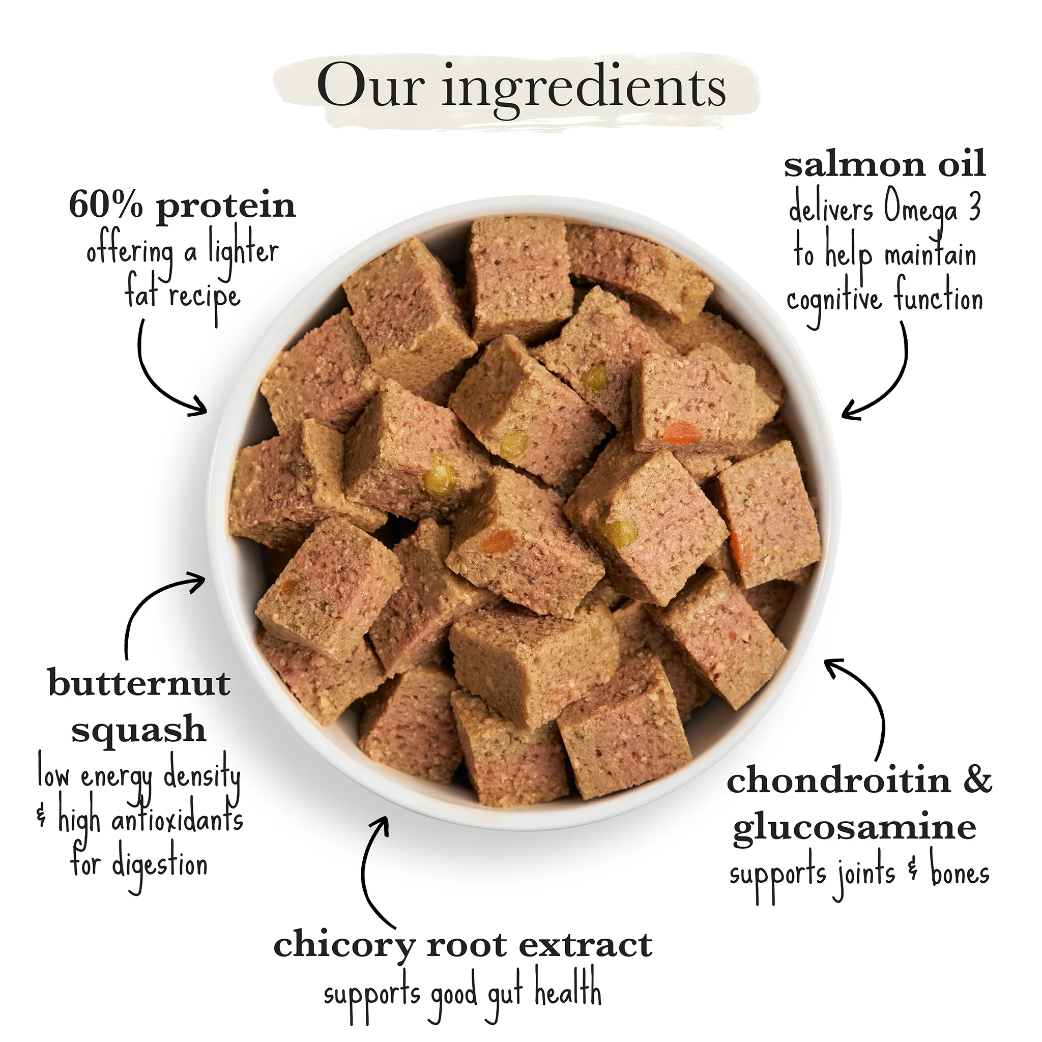 Senior Lamb & Butternut Squash Wet Dog Food - Image 6