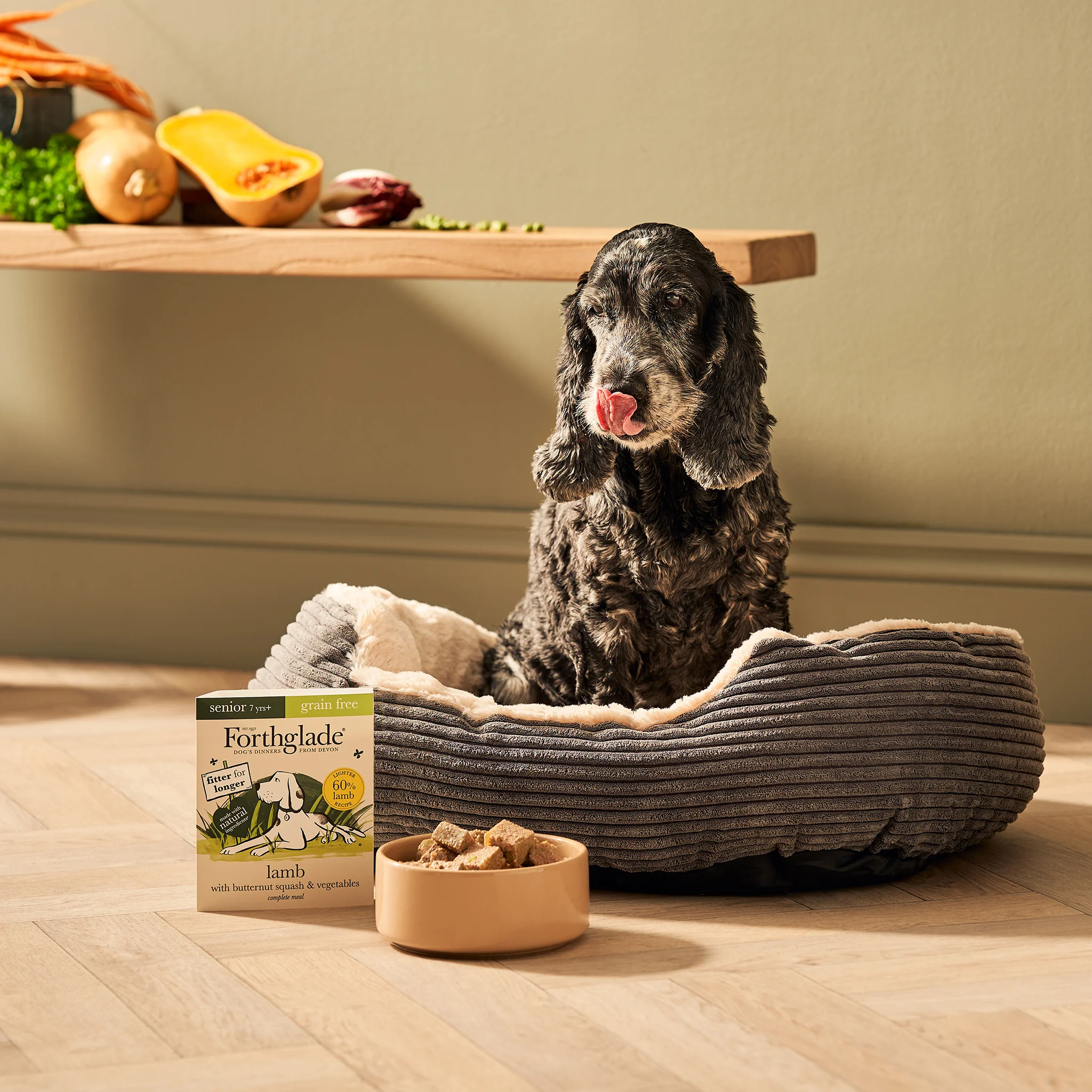 Senior Lamb & Butternut Squash Wet Dog Food - Image 9