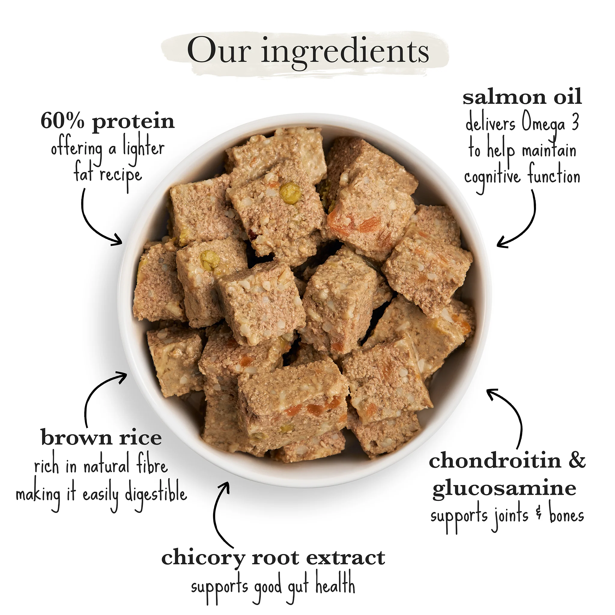 Senior White Fish & Brown Rice Wet Dog Food - Image 4