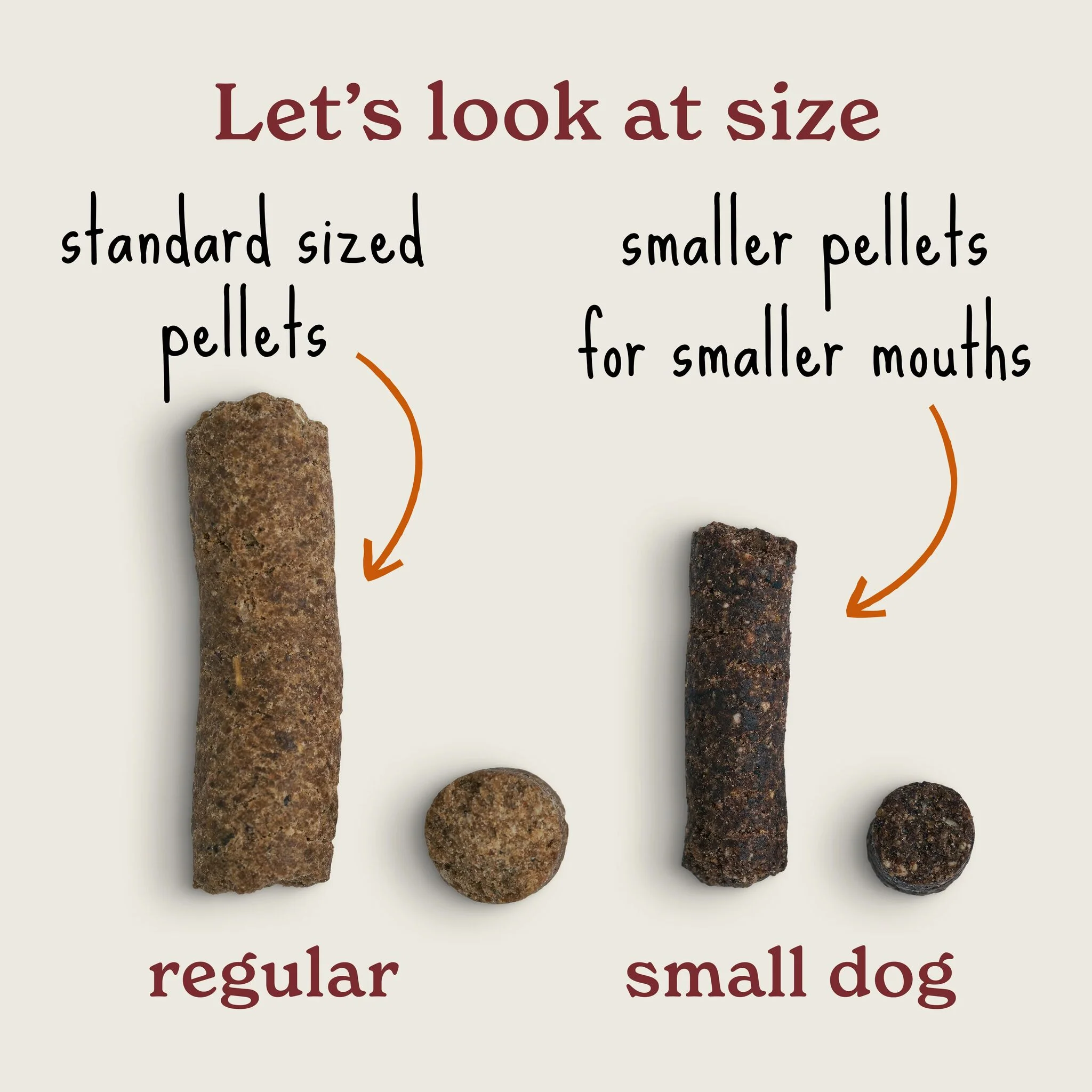 Small Breed Wet & Dry Puppy Food Intro Bundle - Image 3