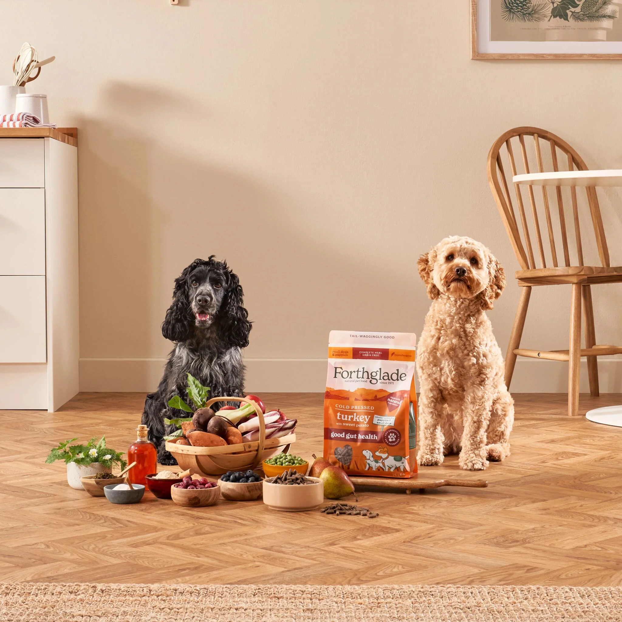 Small Breed Wet & Dry Puppy Food Intro Bundle - Image 5