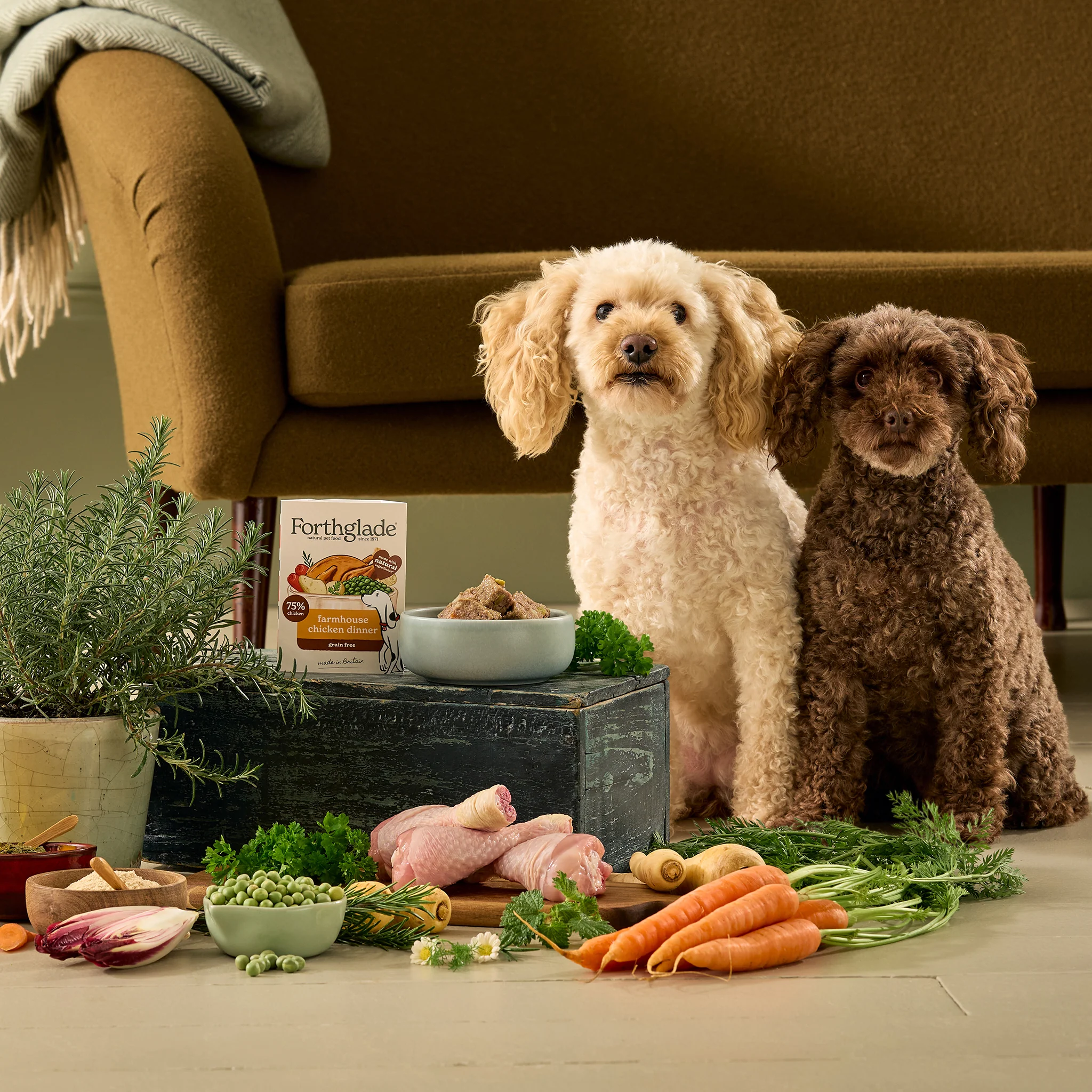 Small Portion Farmhouse Chicken Dinner - Image 7