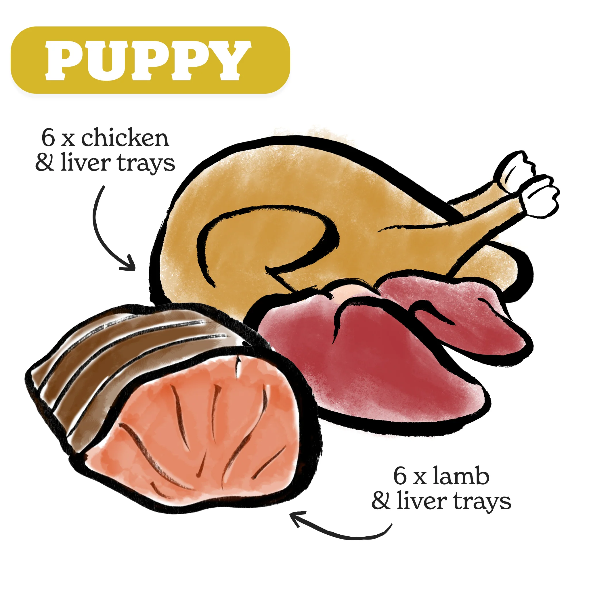 Small Breed Puppy Food Variety Pack - Image 4