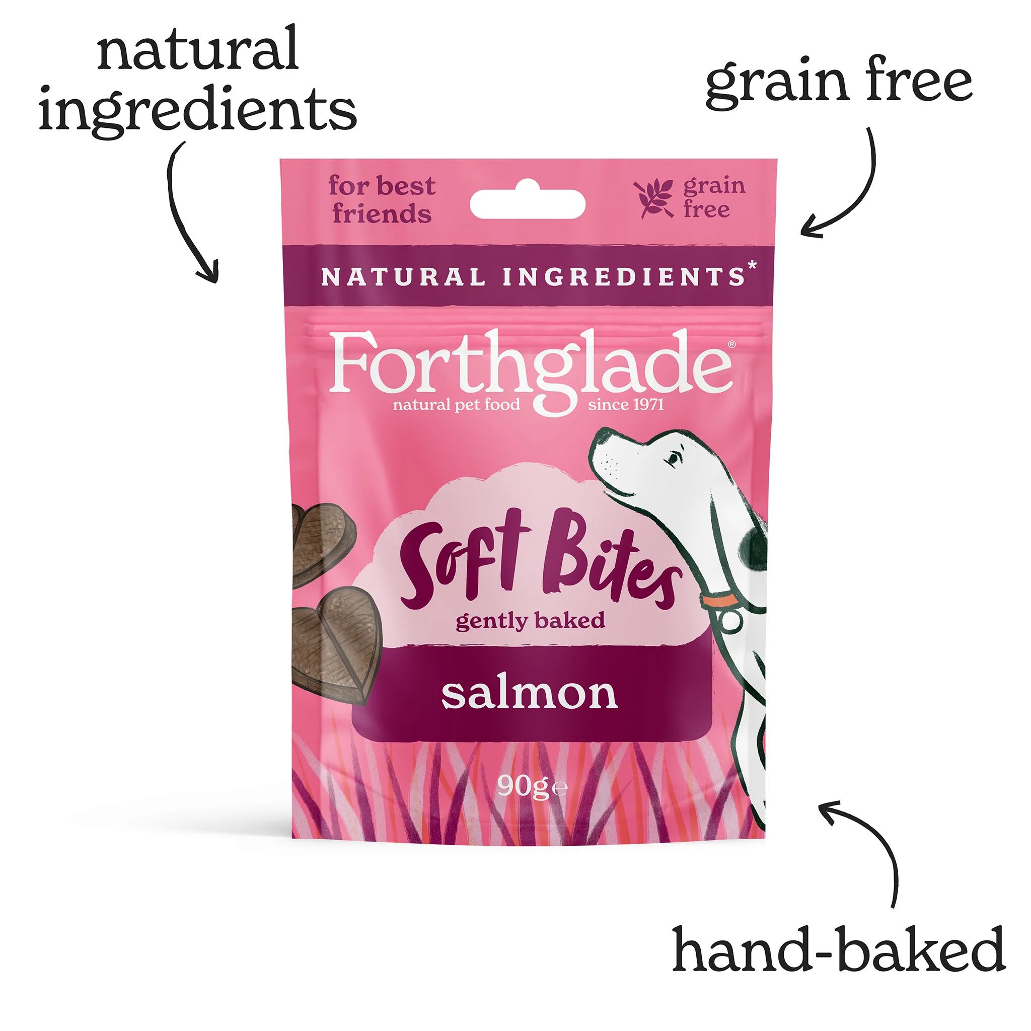 Everything Salmon Dog Food & Treat Variety Bundle - Image 5