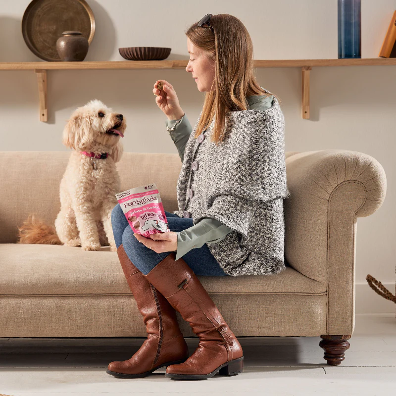 Fishy Doggy Treat Bundle - Image 8