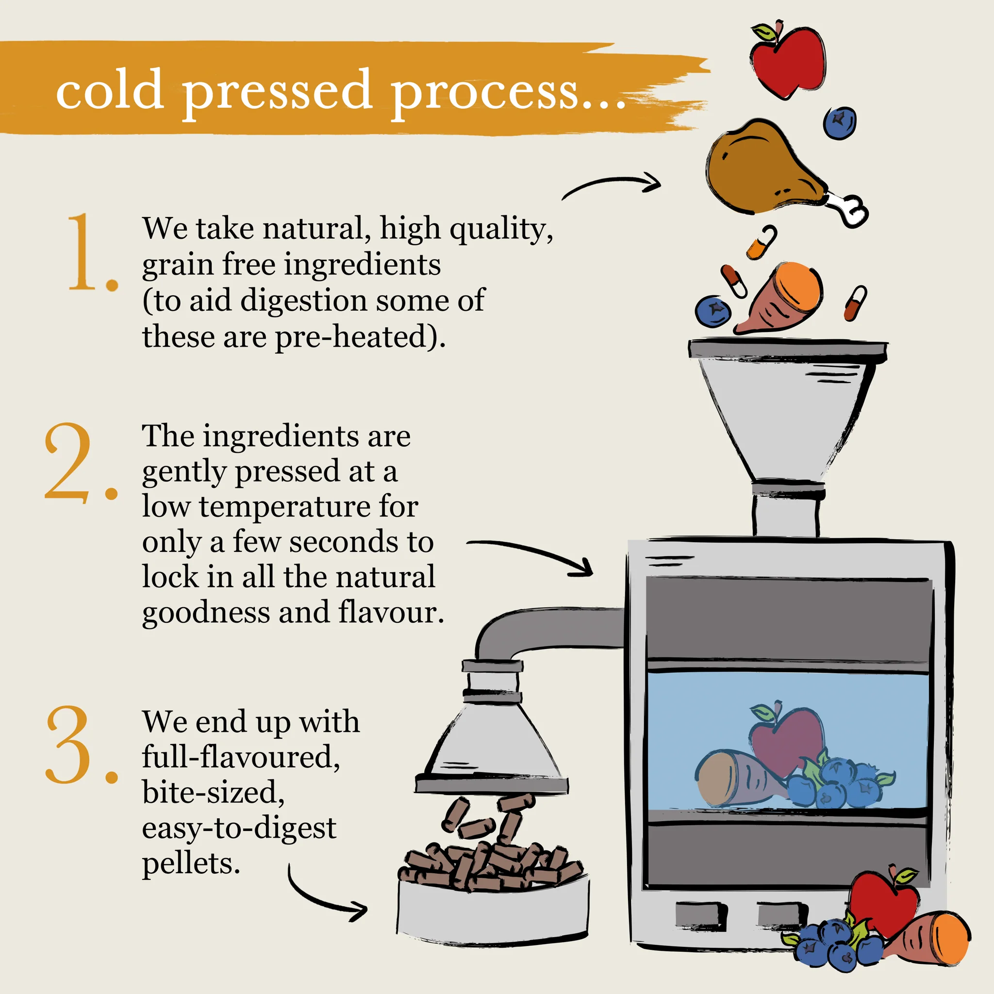 Cold Pressed Turkey Dry Dog Food - Image 12